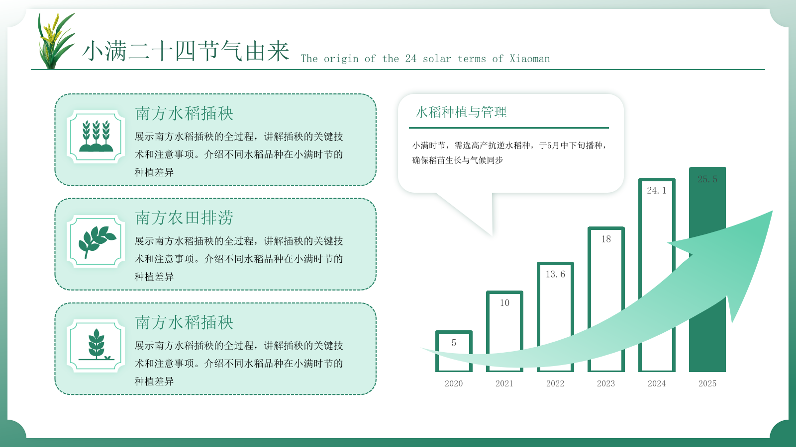 小满中国风教育教学通用模板PPT模板.pptx_第9页