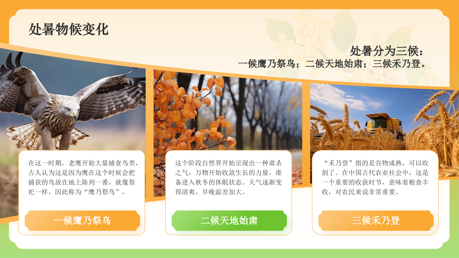 橙色国潮风二十四节气科普介绍——处暑PPT模板.pptx_第5页