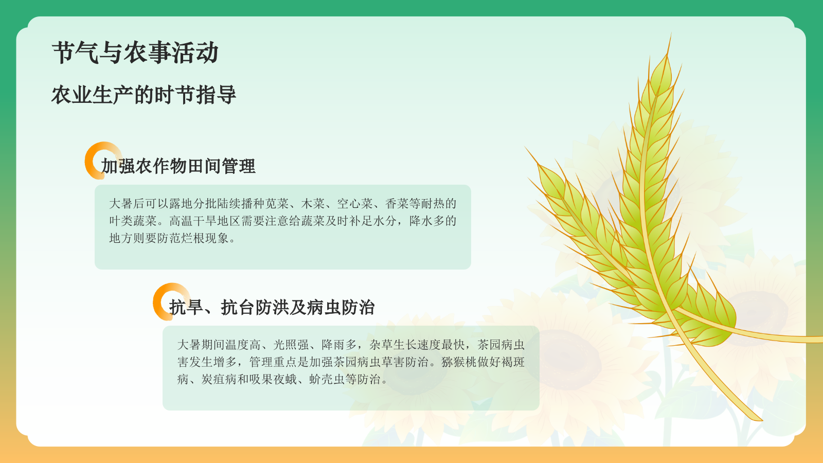 黄色国潮风二十四节气科普介绍——大暑PPT模板.pptx_第6页