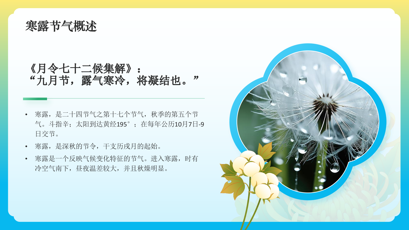 黄色国潮风二十四节气科普介绍——寒露PPT模板.pptx_第4页