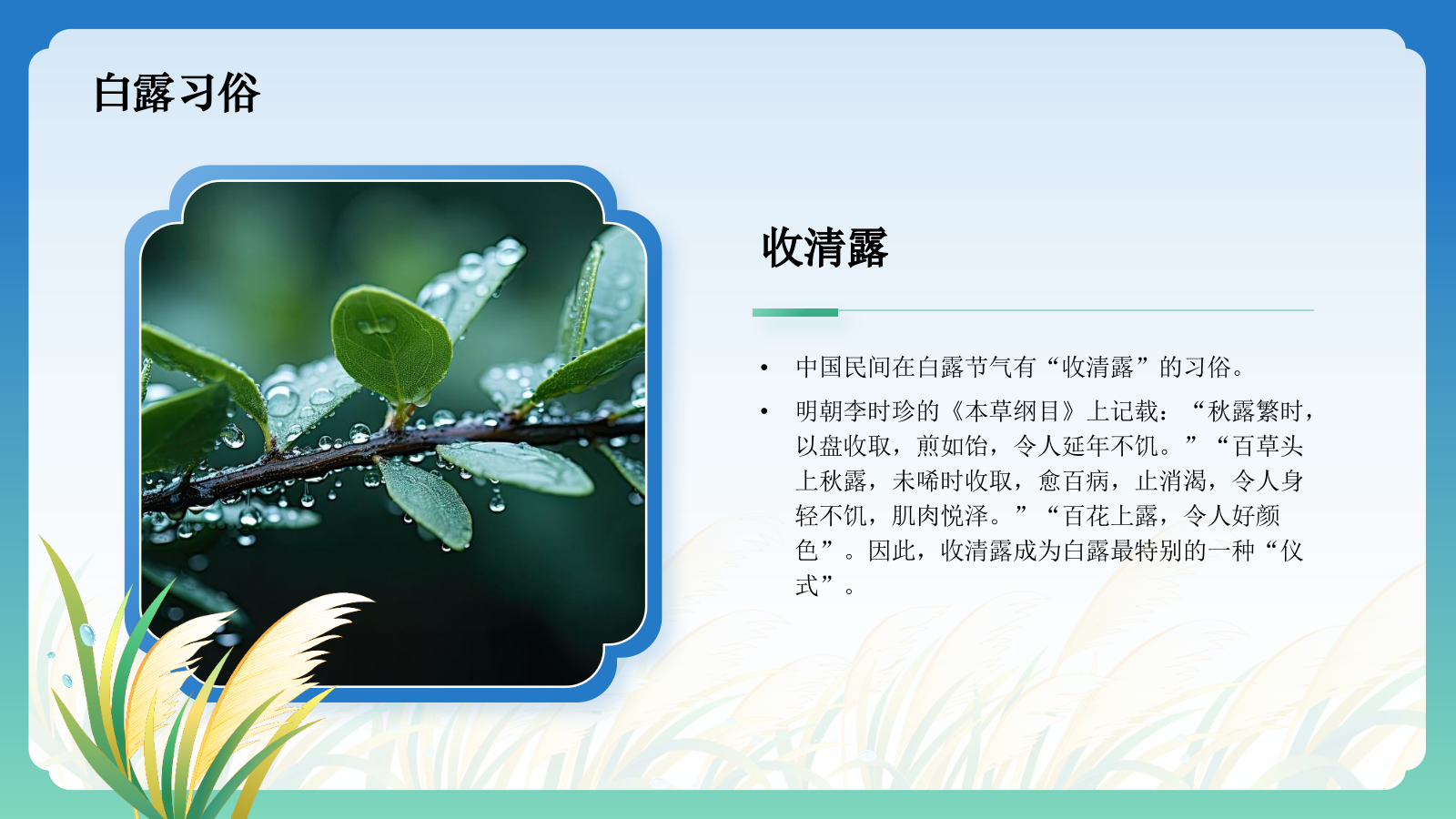 蓝色国潮风二十四节气科普介绍——白露PPT模板.pptx_第10页