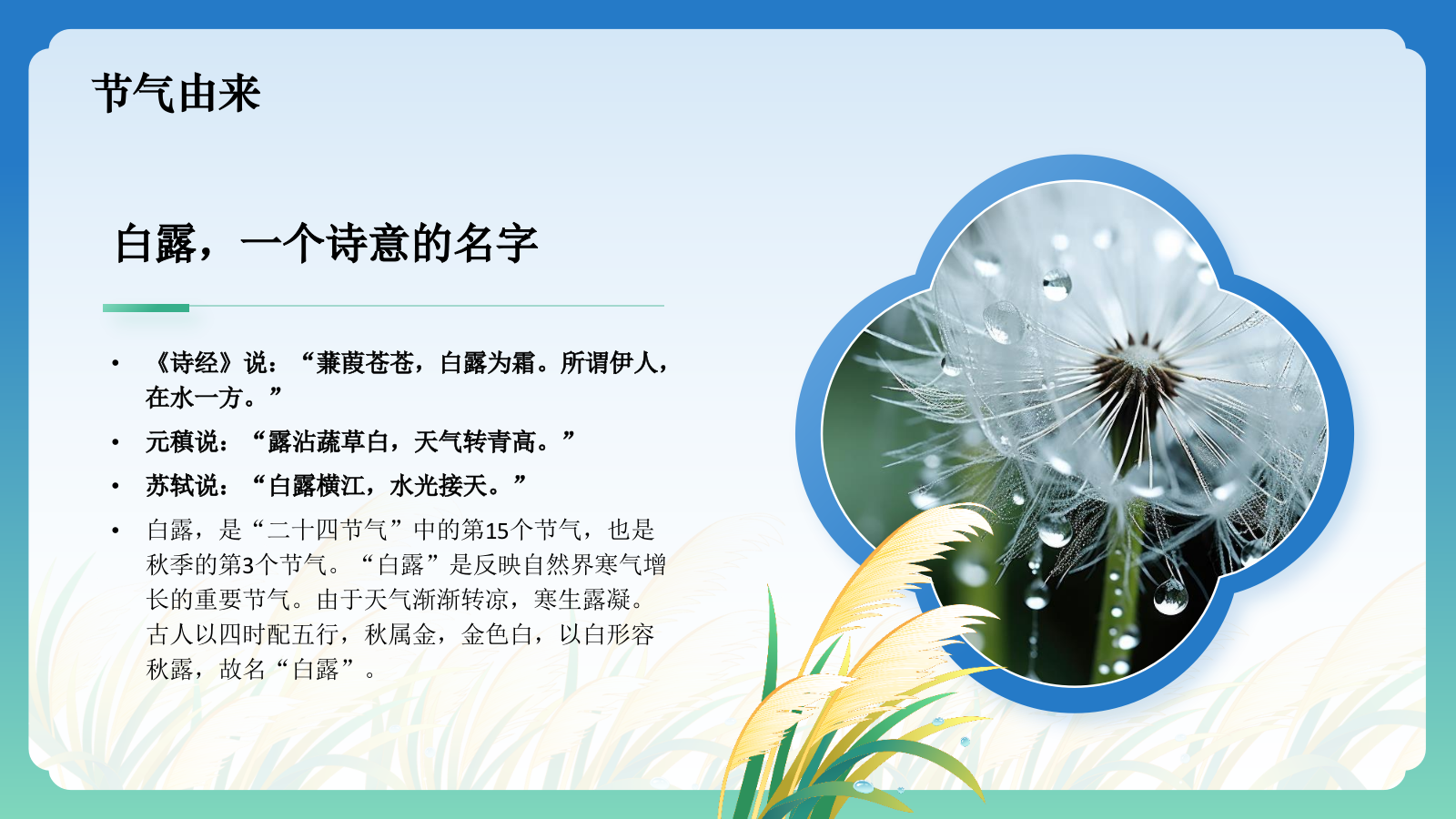蓝色国潮风二十四节气科普介绍——白露PPT模板.pptx_第4页
