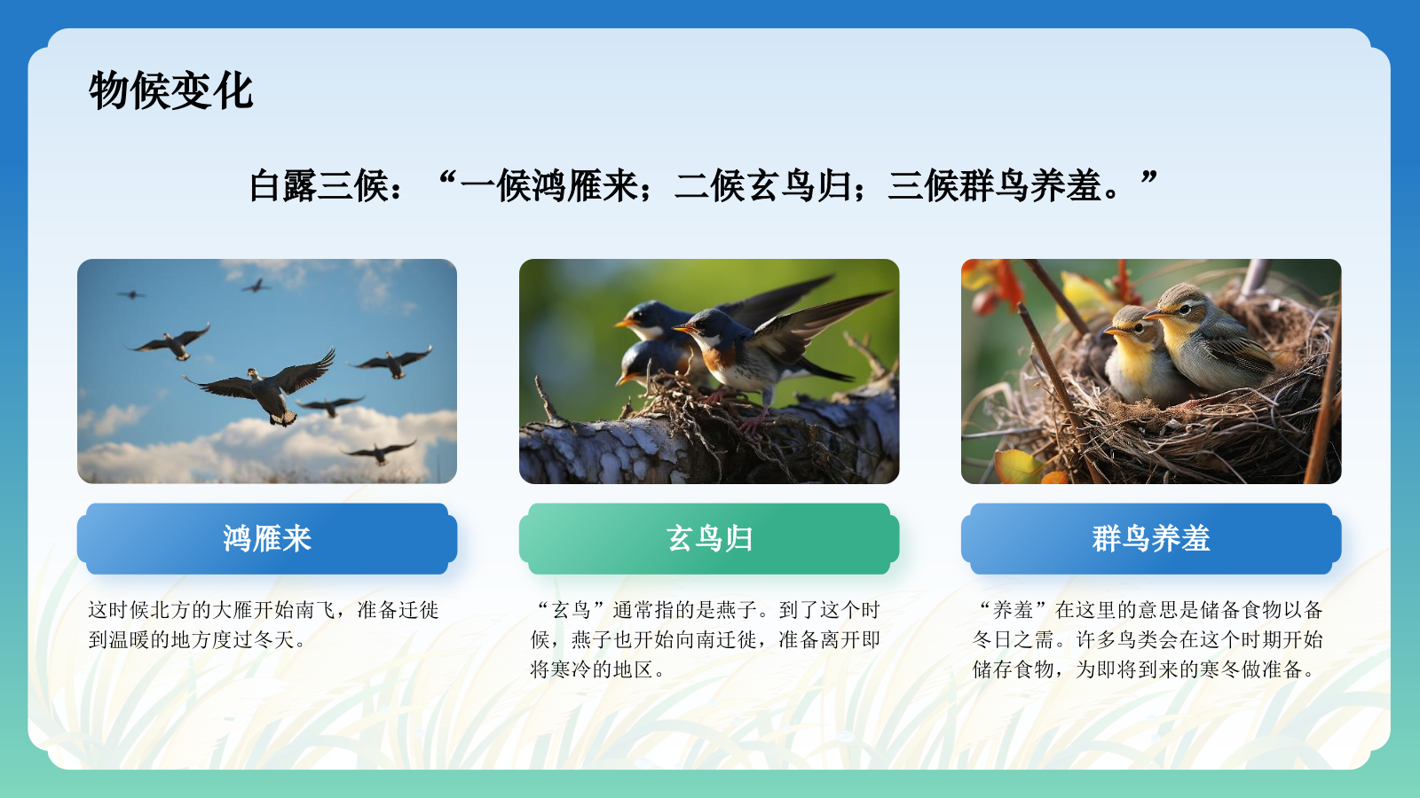 蓝色国潮风二十四节气科普介绍——白露PPT模板.pptx_第6页