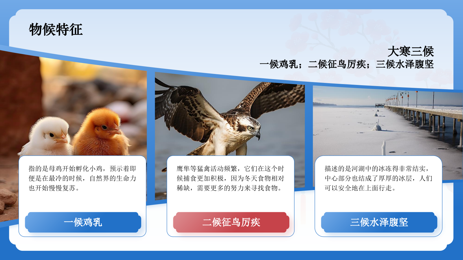 蓝色国潮风二十四节气科普介绍——大寒PPT模板.pptx_第6页