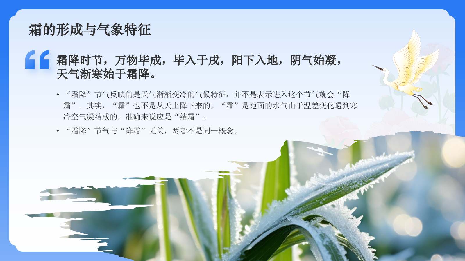 蓝色国潮风二十四节气科普介绍——霜降PPT模板.pptx_第4页