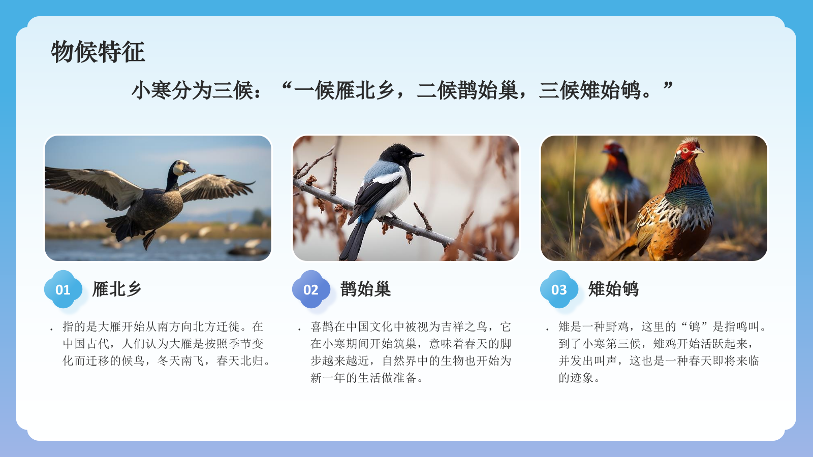 蓝色国潮风二十四节气科普介绍——小寒PPT模板.pptx_第6页