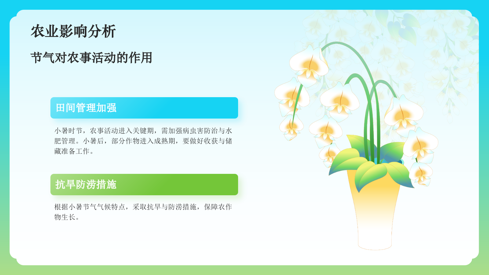 蓝色国潮风二十四节气科普介绍——小暑PPT模板.pptx_第6页