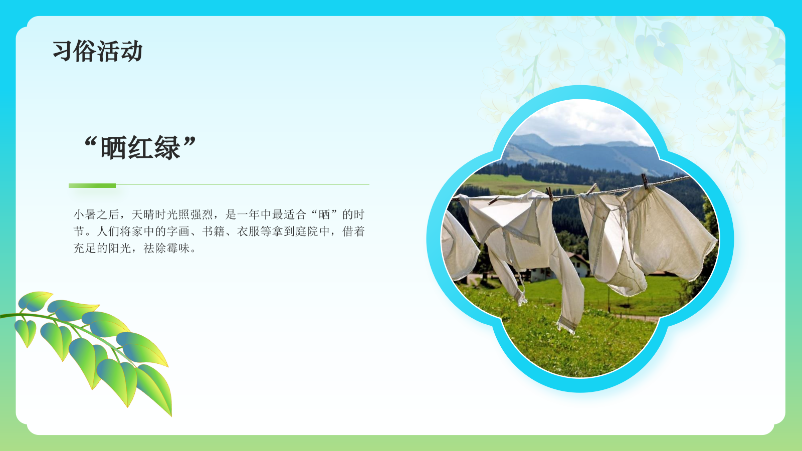 蓝色国潮风二十四节气科普介绍——小暑PPT模板.pptx_第9页