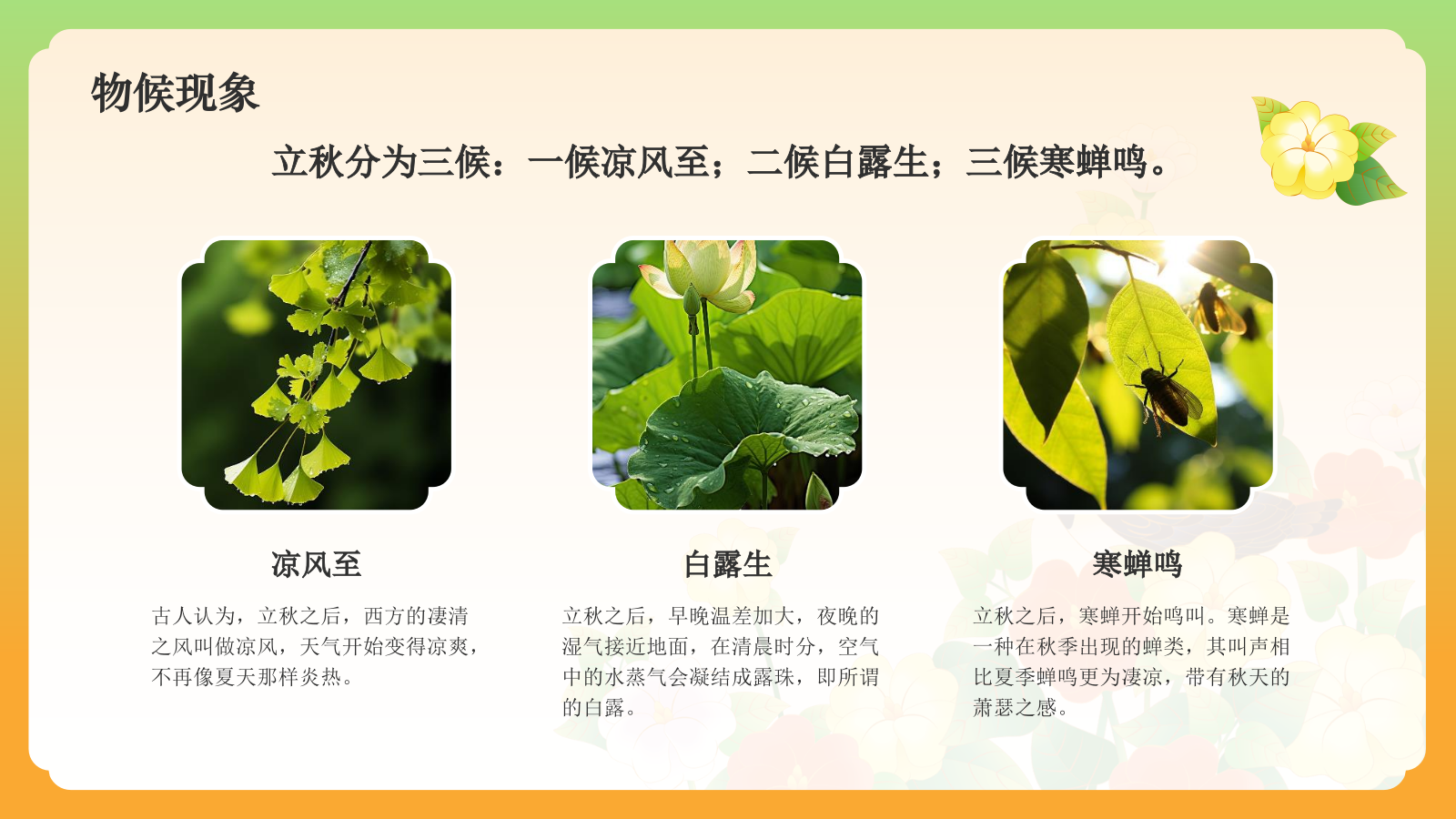 绿色国潮风二十四节气科普介绍——立秋PPT模板.pptx_第5页