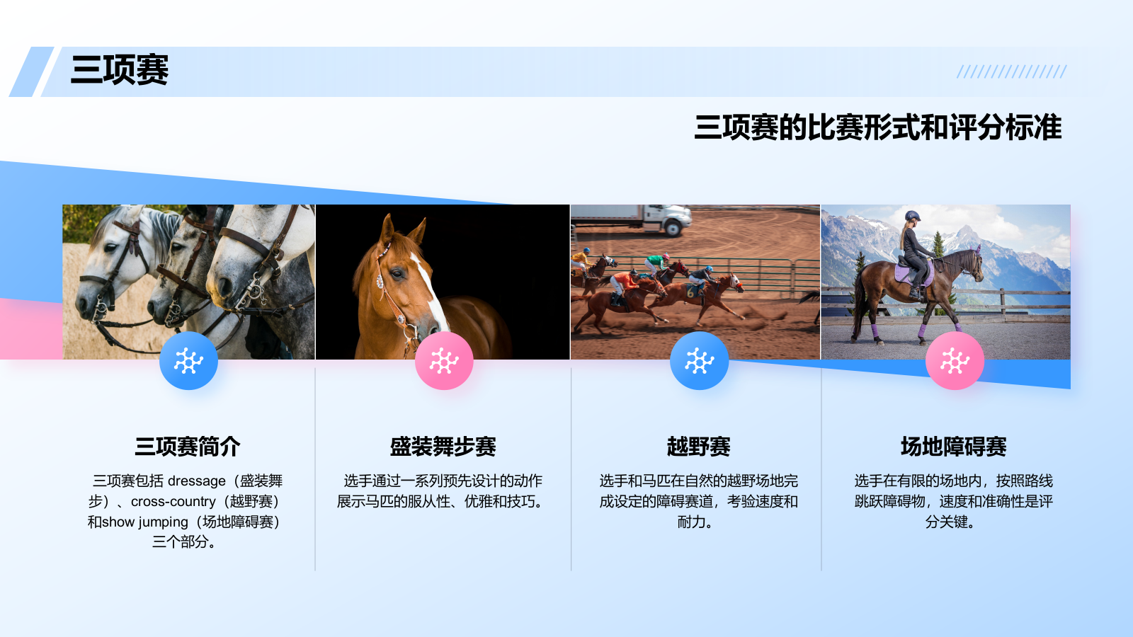 蓝色3D风奥运会马术项目科普PPT模板.pptx_第8页