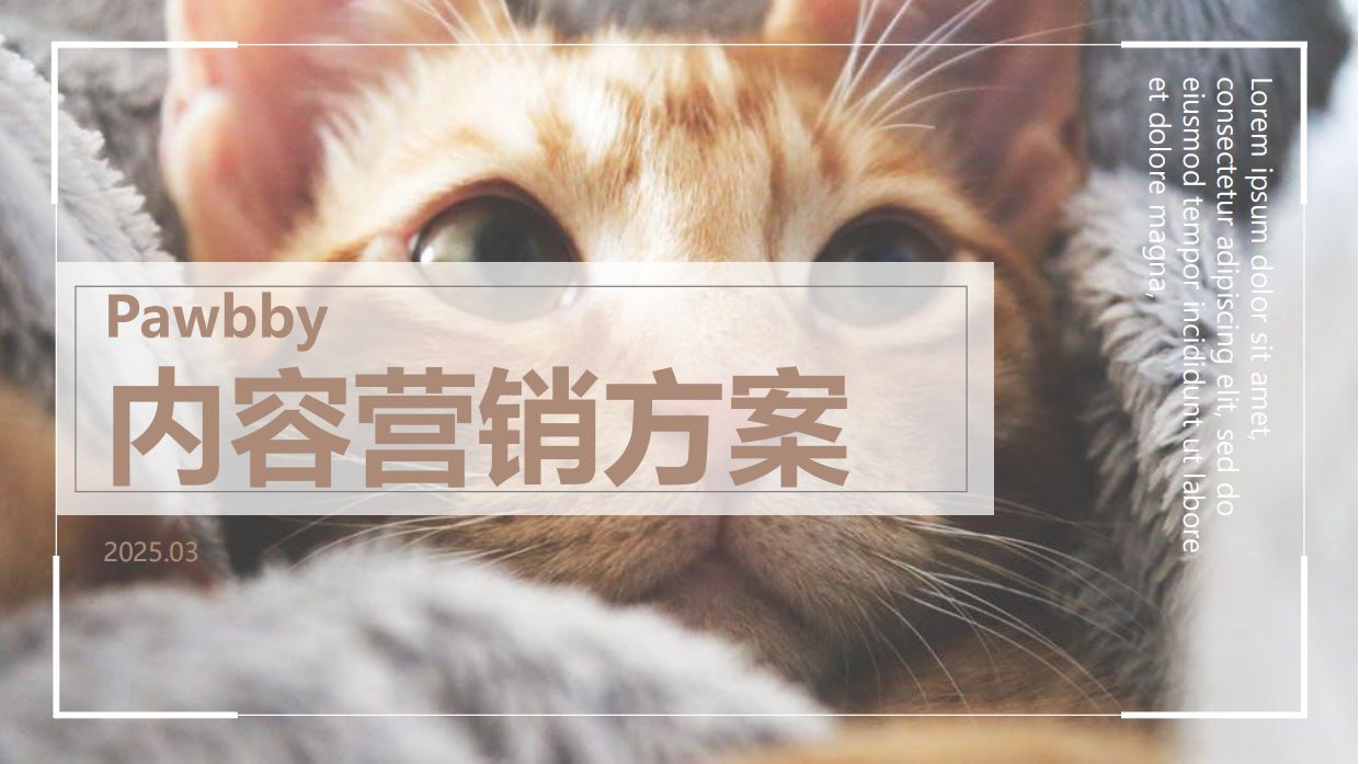 新媒体运营Pawbby内容营销全案方案.pdf_第1页