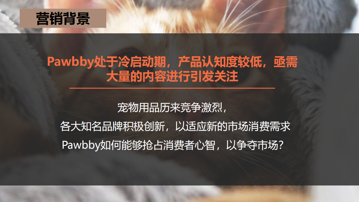 新媒体运营Pawbby内容营销全案方案.pdf_第2页