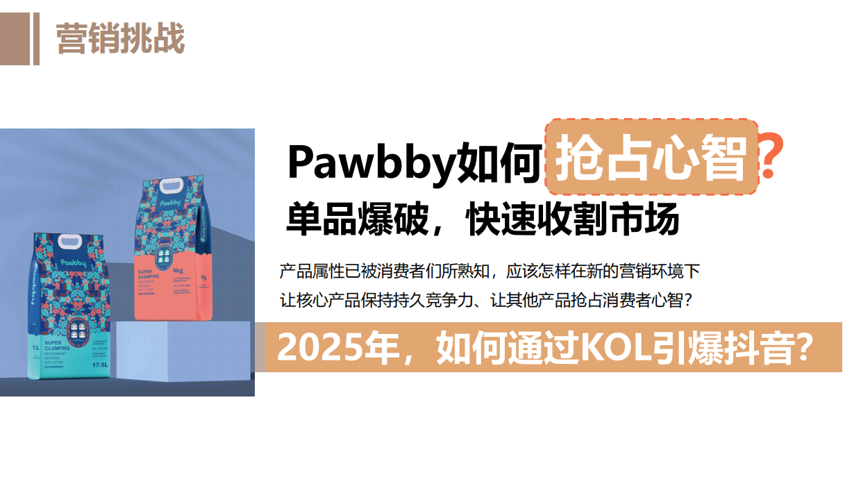 新媒体运营Pawbby内容营销全案方案.pdf_第5页