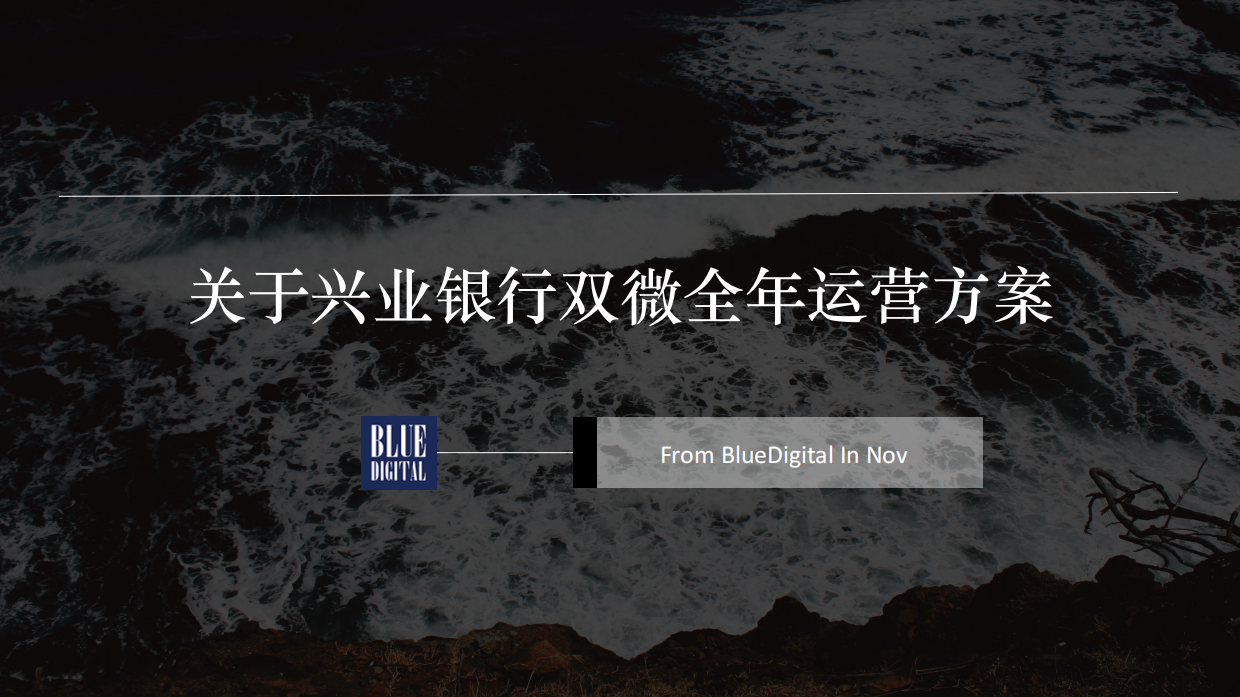 兴业银行双微运营规划-25页.pdf
