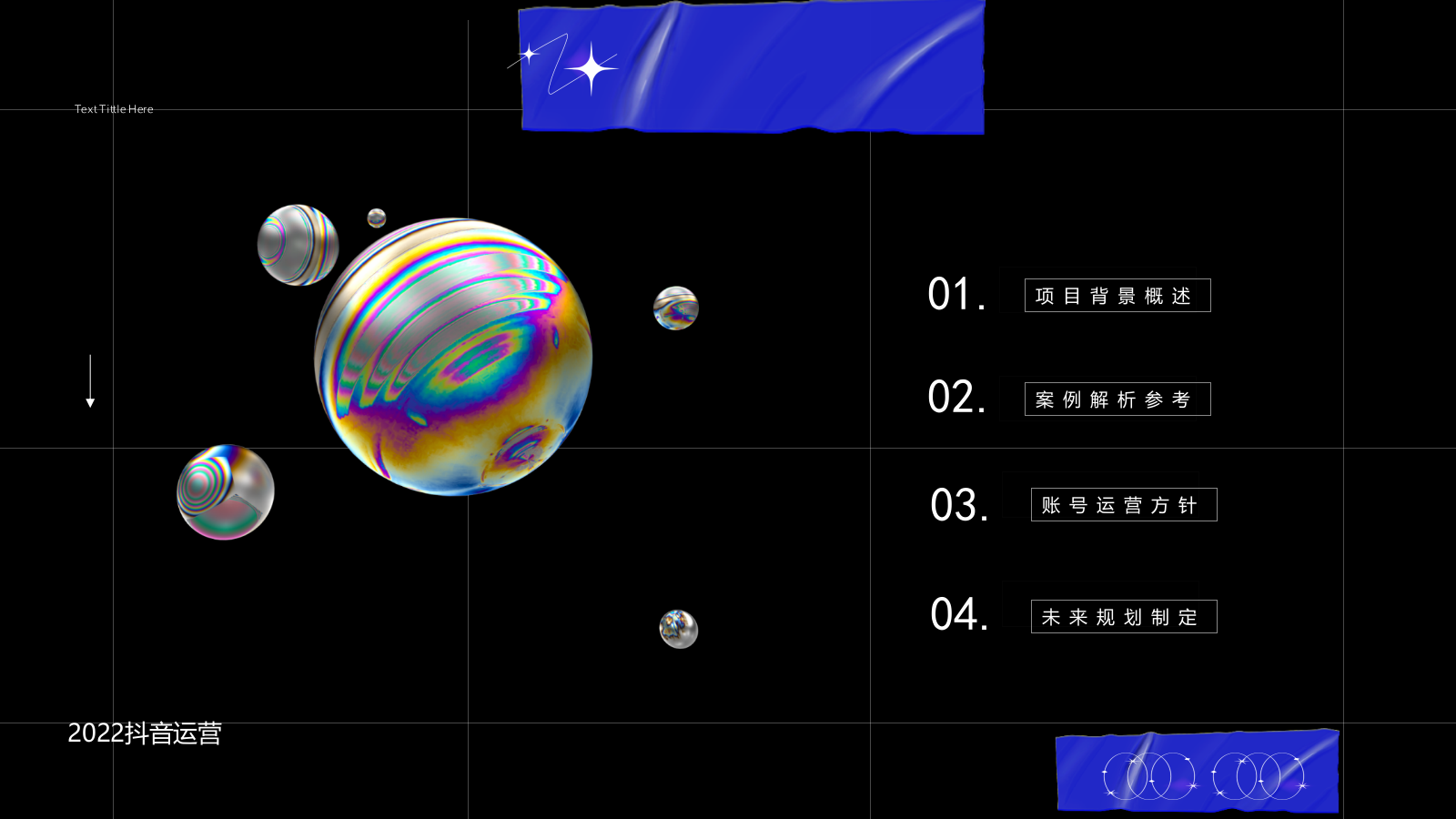 政府抖音运营方案.pptx_第2页