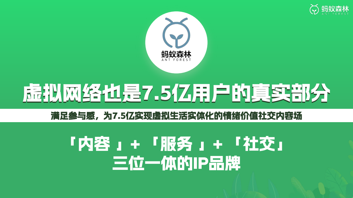 支付宝蚂蚁森林抖音&小红书新媒体账号规划代运营方案.pdf_第10页
