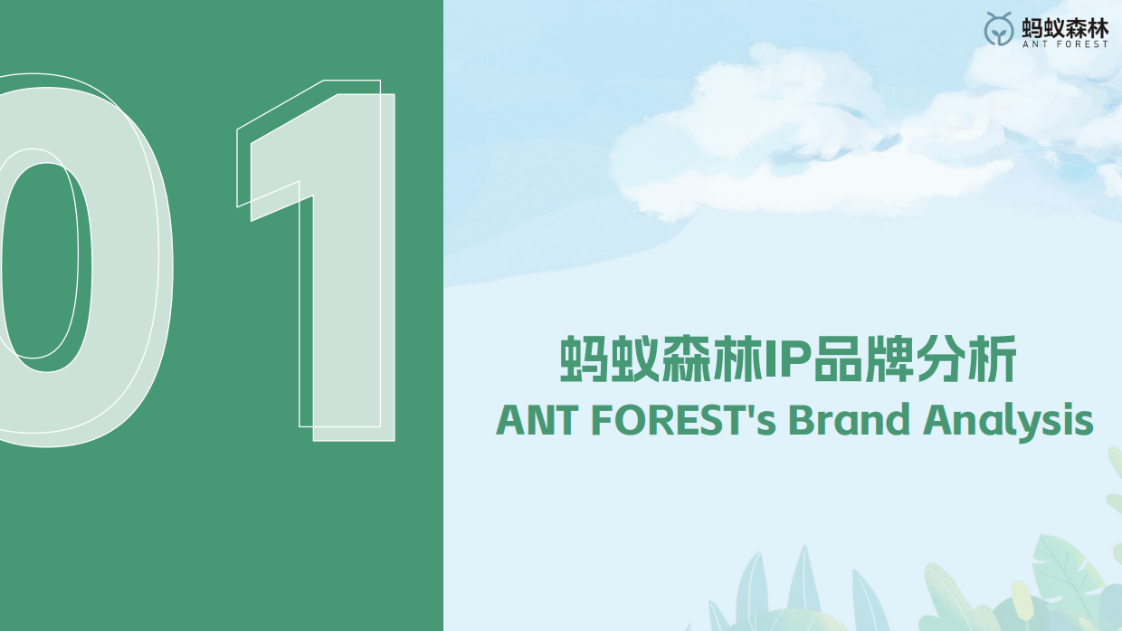 支付宝蚂蚁森林抖音&小红书新媒体账号规划代运营方案.pdf_第3页