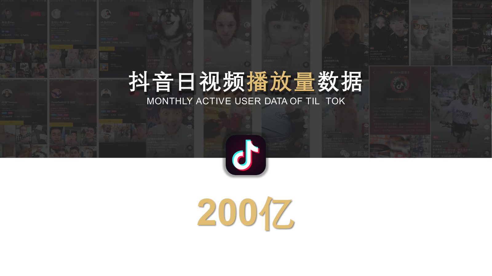 手艺人品牌短视频整合营销推广（含抖音、B站、社群）计划.pptx_第10页