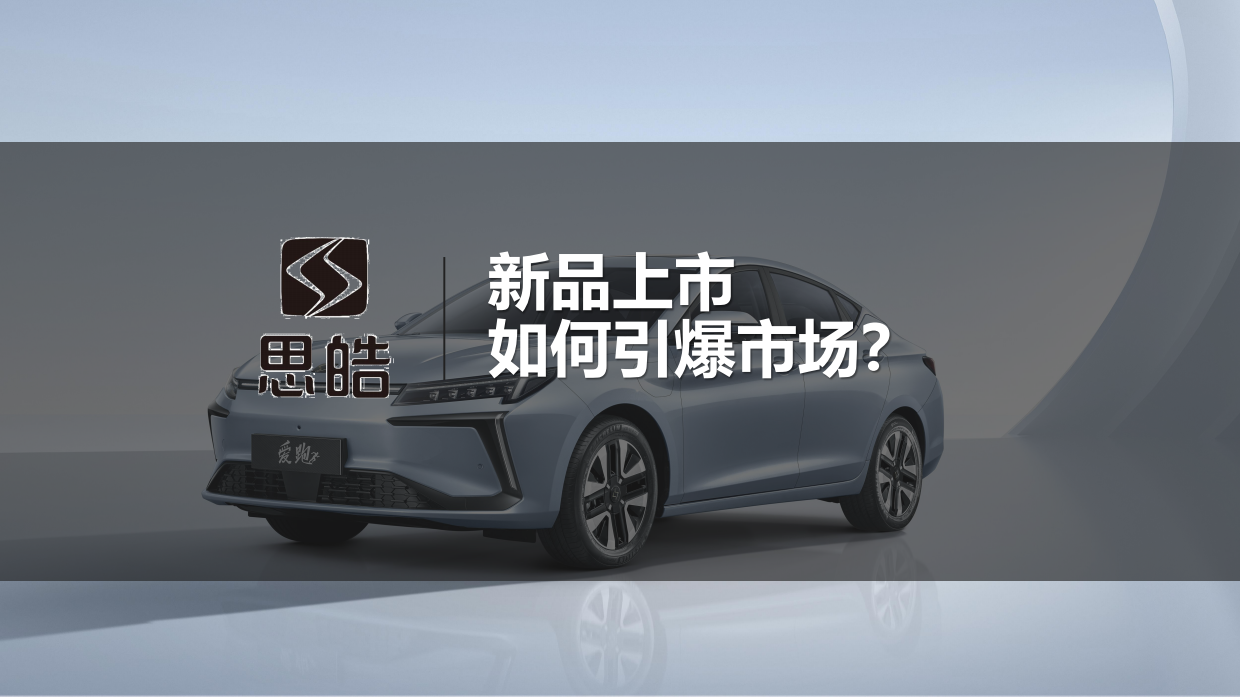 思皓新媒体运营方案.pdf_第2页