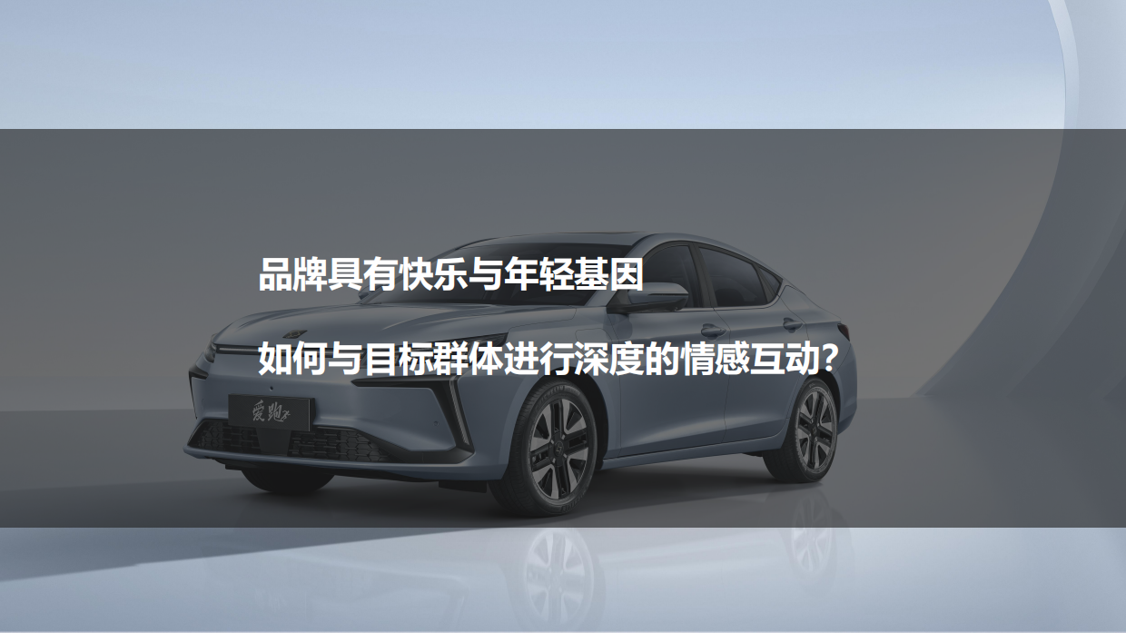 思皓新媒体运营方案.pdf_第4页