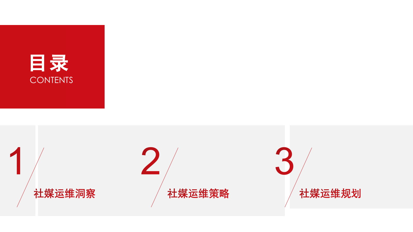 太阳神社媒运维方案.pptx_第2页