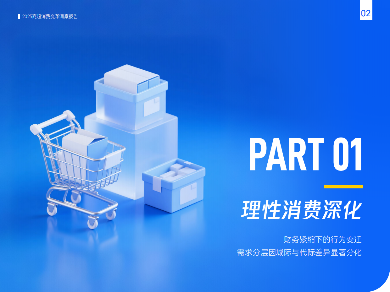 2025年商超消费变革洞察报告 理性分化、渠道重构与人群战略-腾讯营销洞察.pdf_第4页