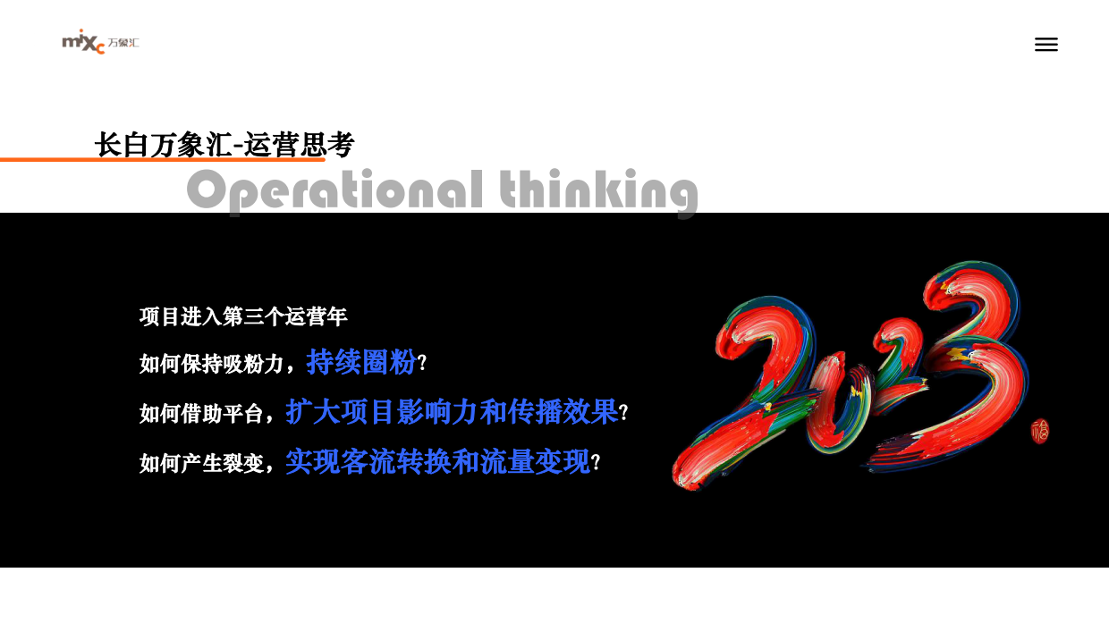 2023沈阳长白万象汇新媒体运营方案.pdf_第10页