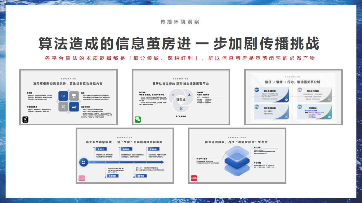 2024-2025比亚迪海洋系列新媒体官方账号年度直播运营方案.pdf_第10页