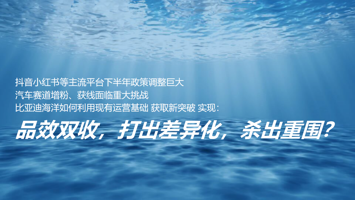 2024-2025比亚迪海洋系列新媒体官方账号年度直播运营方案.pdf_第2页