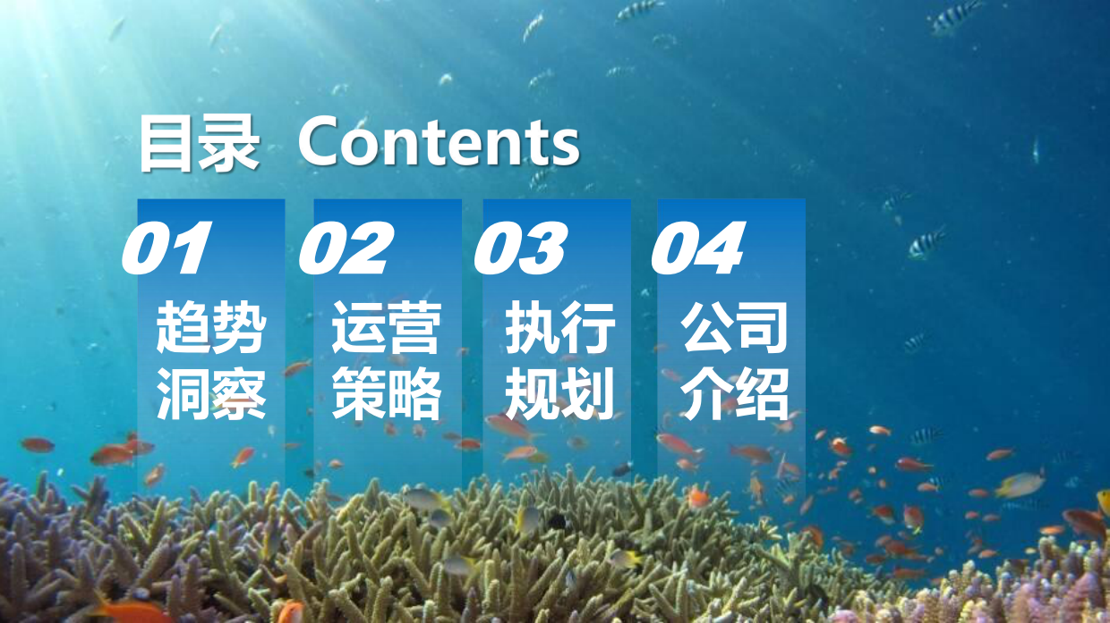 2024-2025比亚迪海洋系列新媒体官方账号年度直播运营方案.pdf_第4页