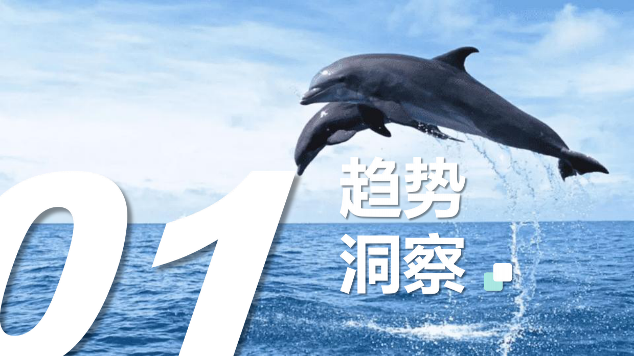2024-2025比亚迪海洋系列新媒体官方账号年度直播运营方案.pdf_第5页
