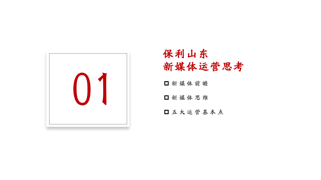保利山东抖音运营全案.pdf_第3页