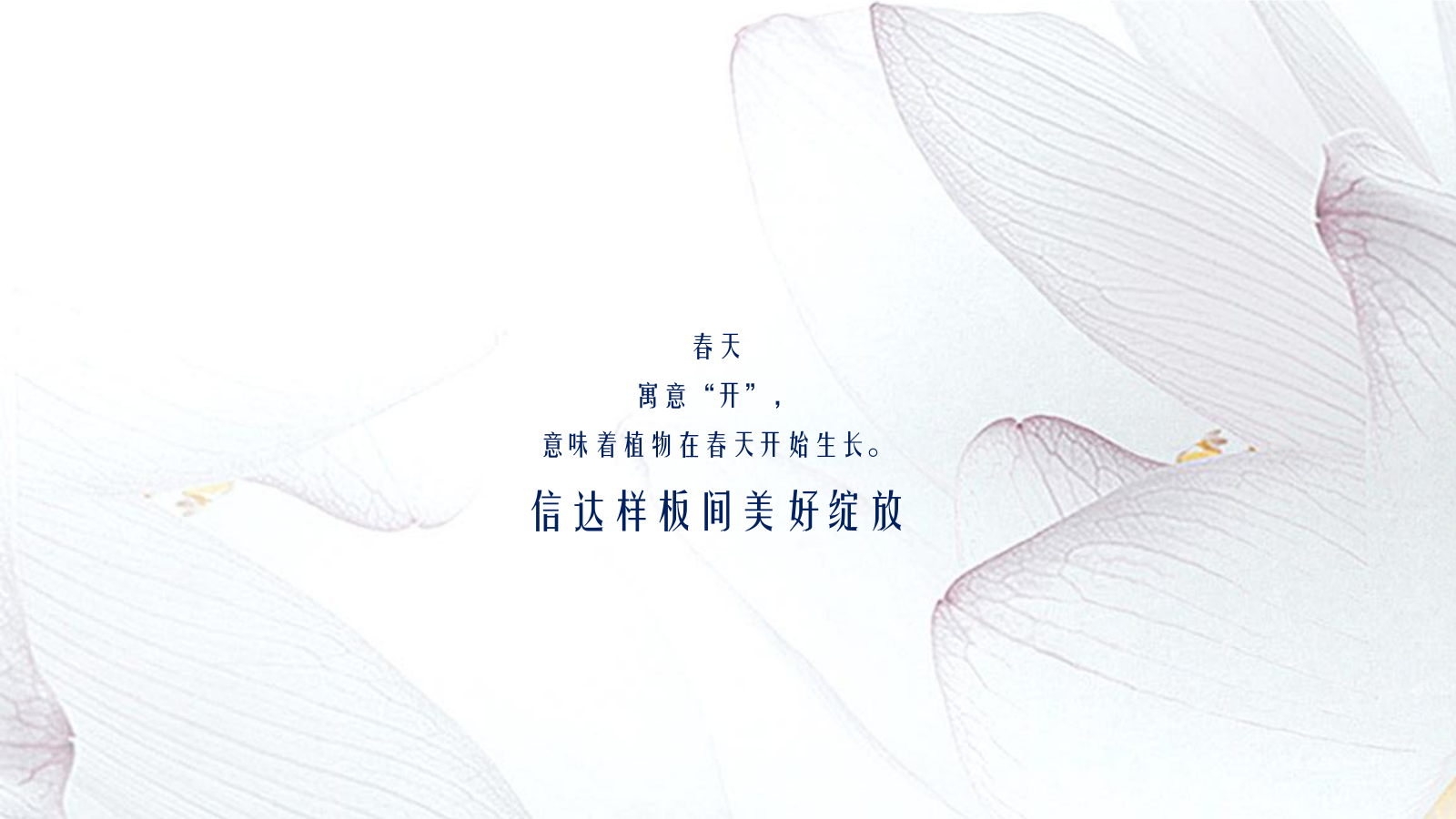 信达·庐阳府样板间魅力开放好的方案.pptx_第2页