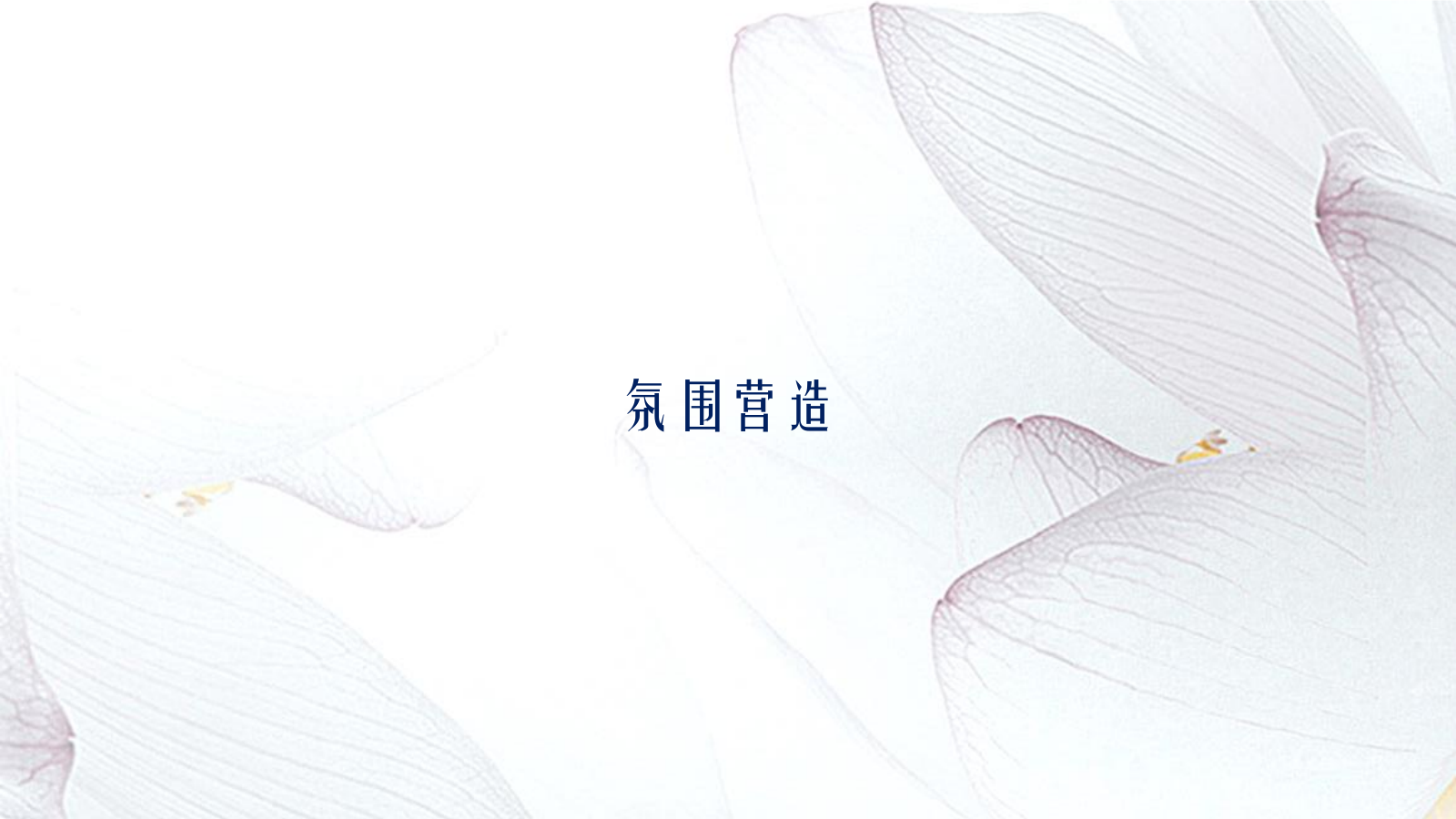 信达·庐阳府样板间魅力开放好的方案.pptx_第5页