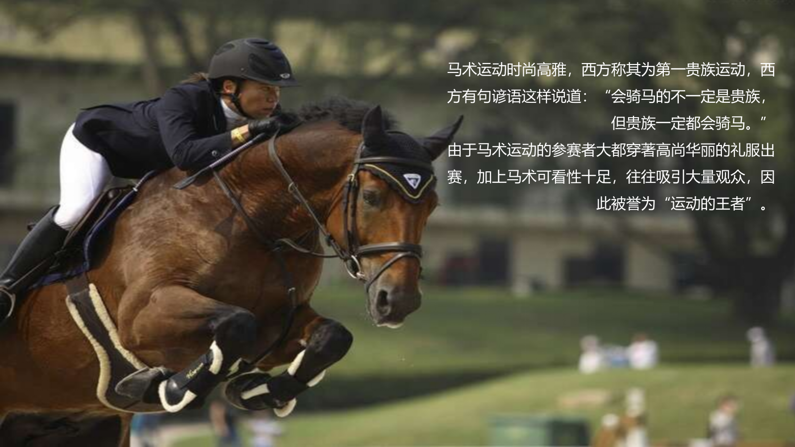 御长白营销中心开放活动方案.pptx_第9页