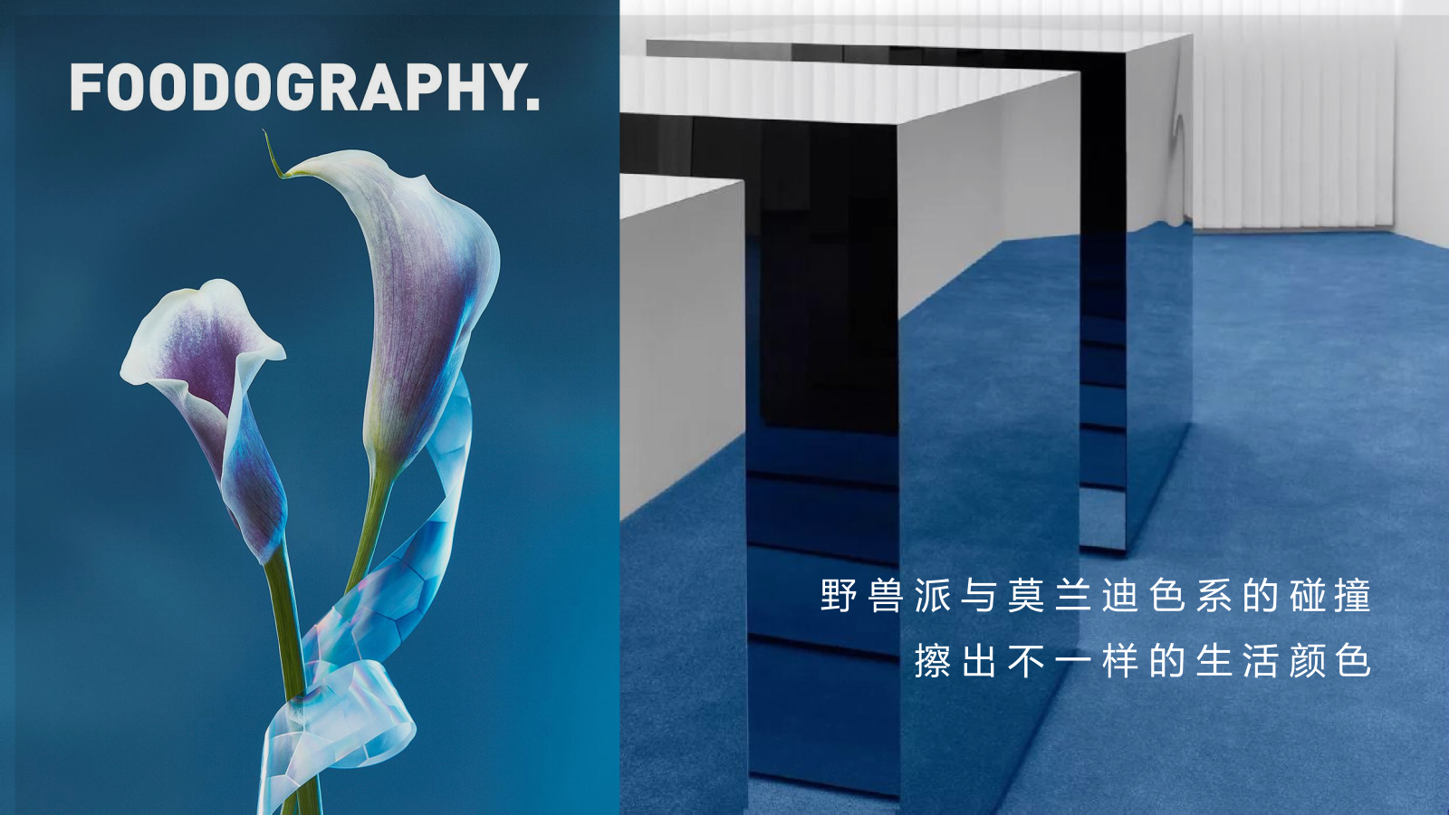 展厅公开活动方案.pptx_第4页