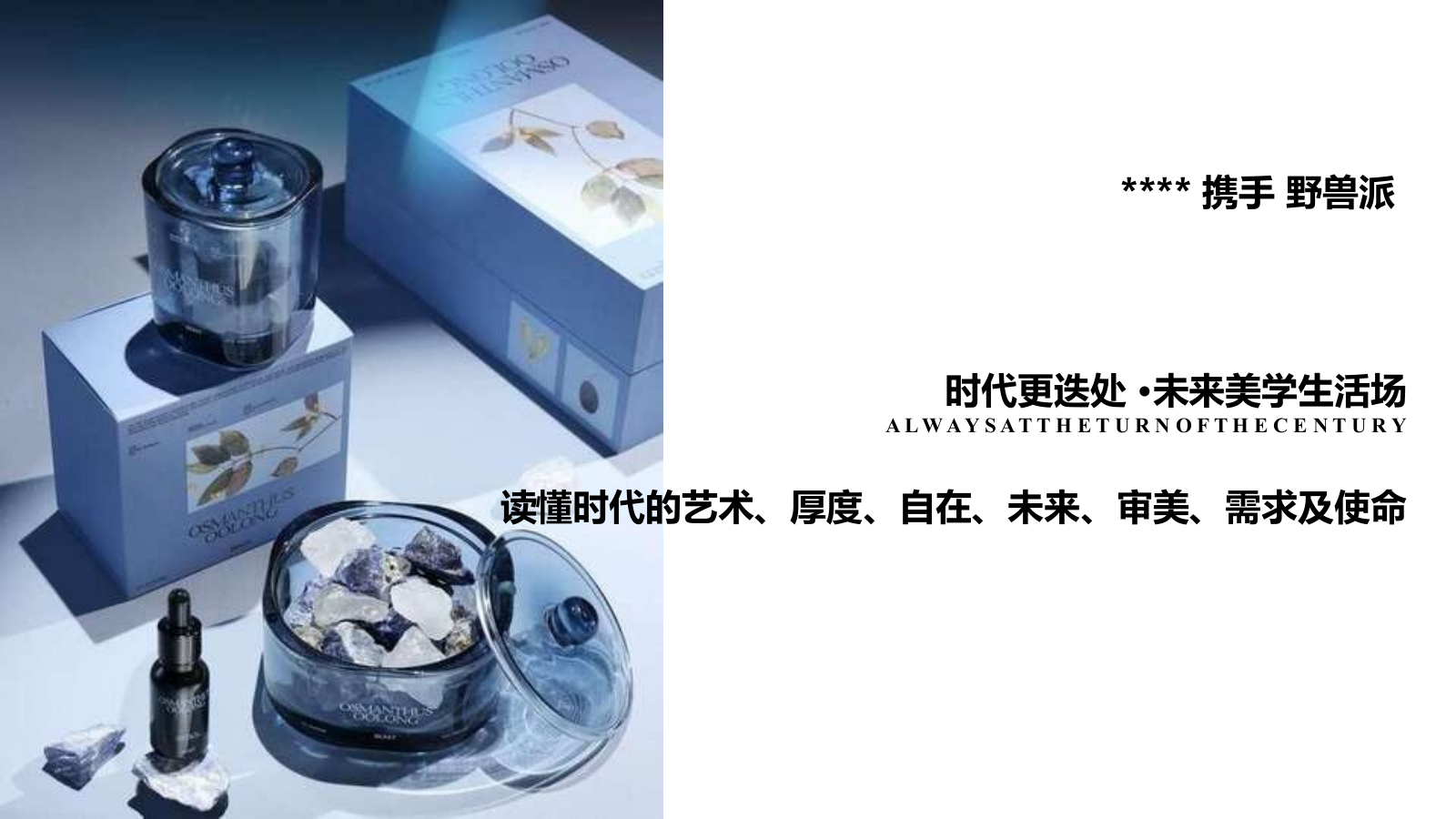 展厅公开活动方案.pptx_第7页