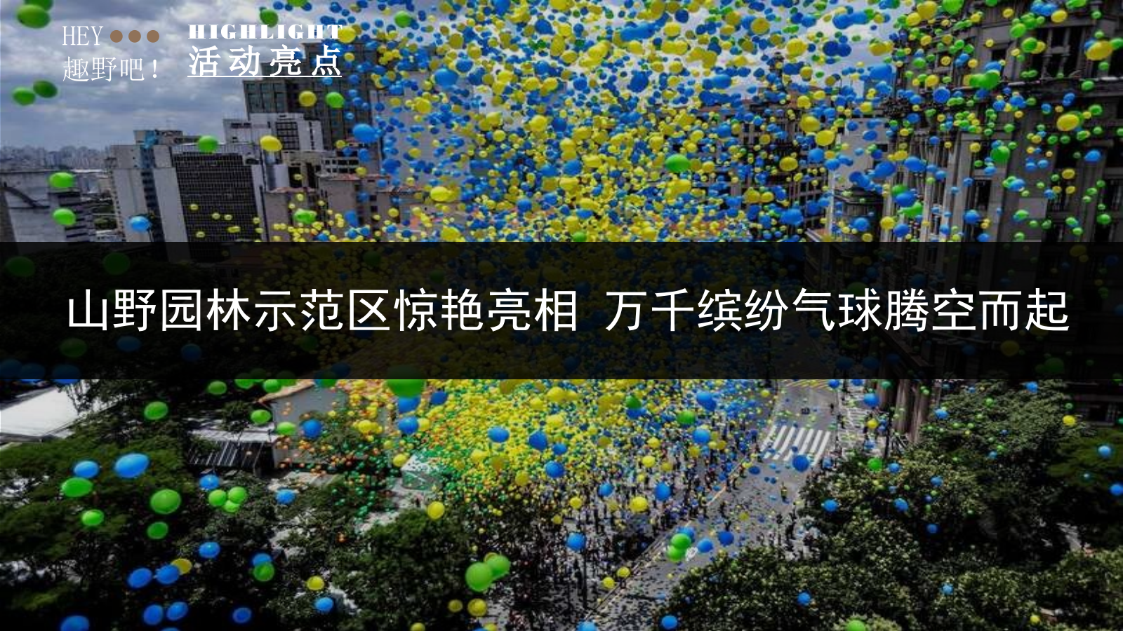 某项目园林示范区开放暨首届山野音乐风筝节活动策划方案.pptx_第4页