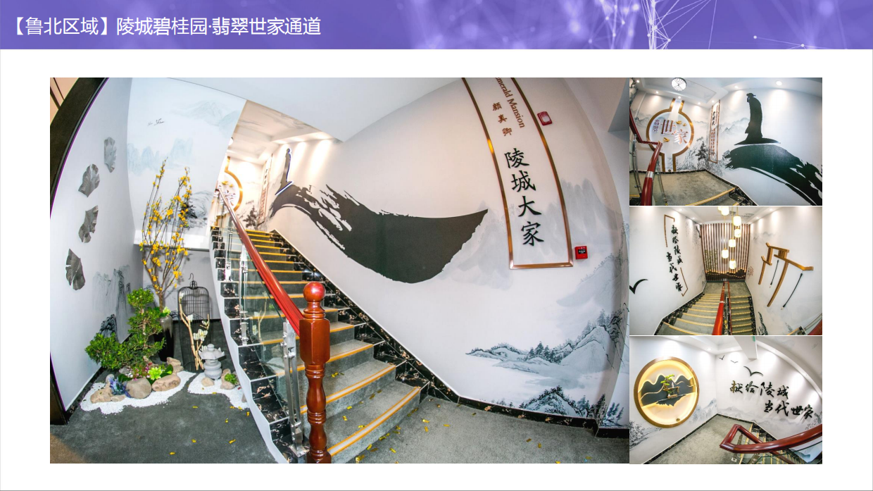 体验标准化6.0-看楼通道包装库.pdf_第10页