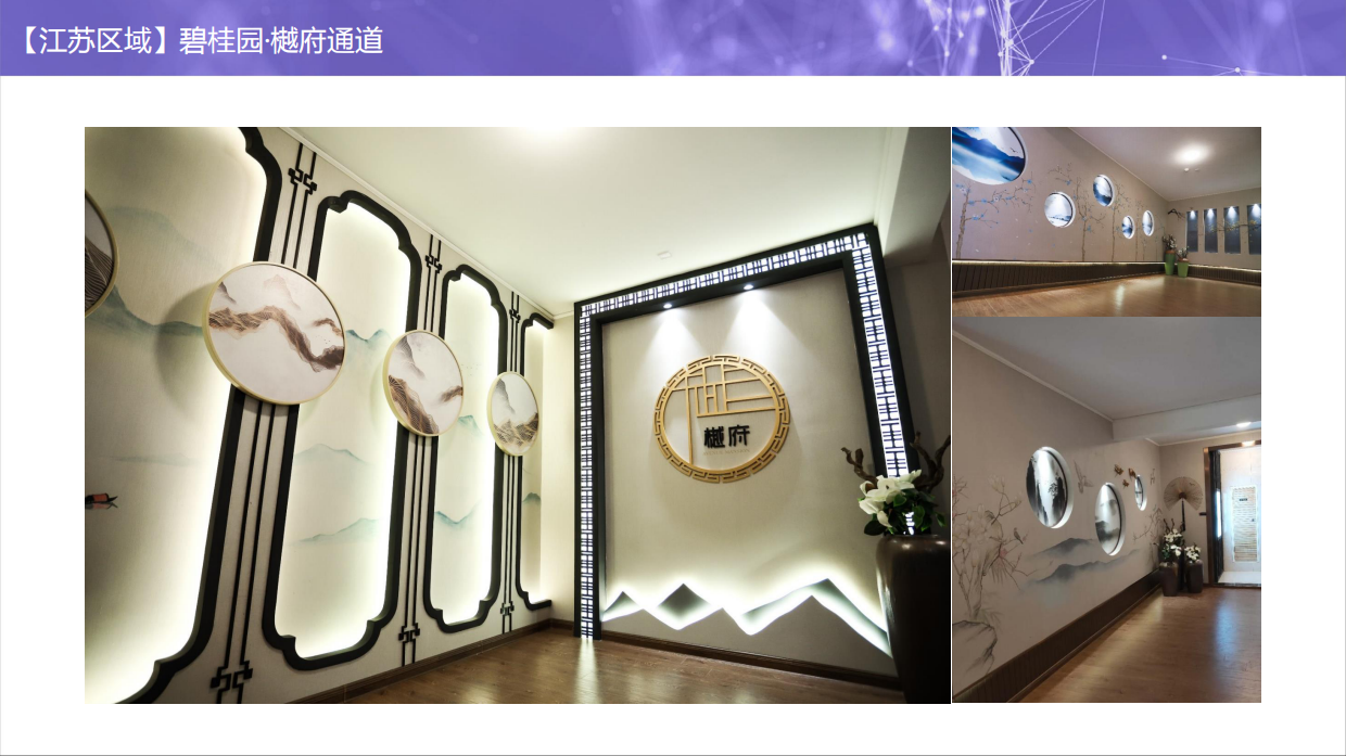 体验标准化6.0-看楼通道包装库.pdf_第8页