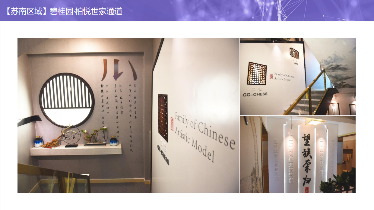 体验标准化6.0-看楼通道包装库.pdf_第9页