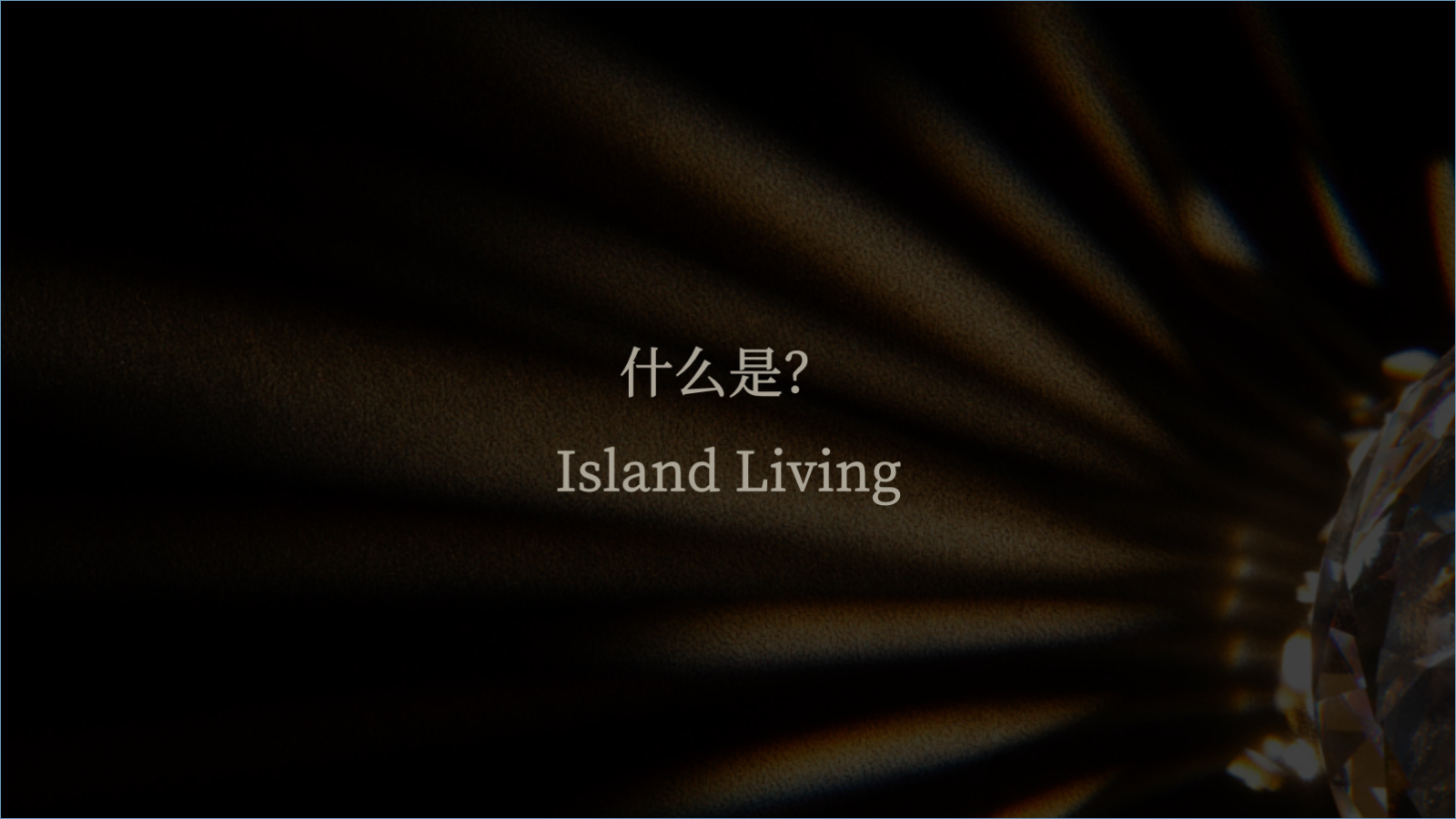 xx地产高端大气黑金示范区亮相活动方案.pptx_第4页