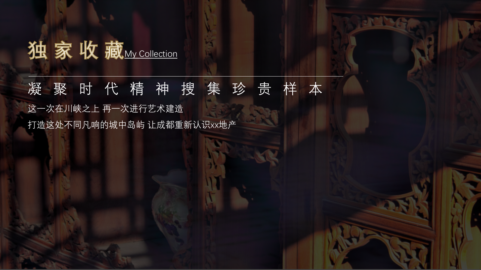 xx地产高端大气黑金示范区亮相活动方案.pptx_第9页