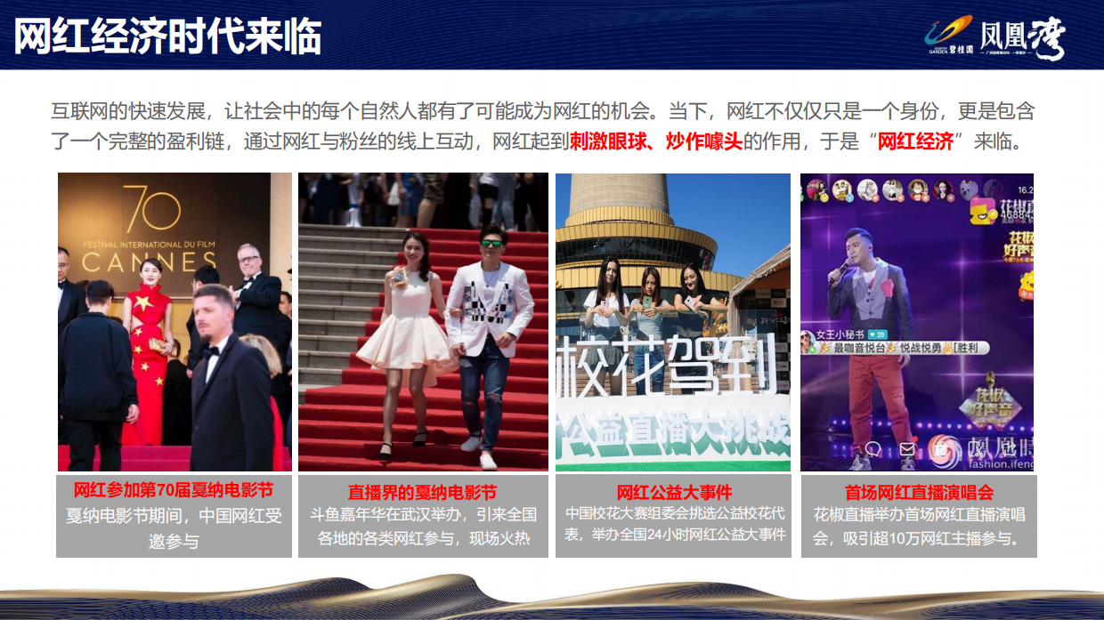 碧桂园·凤凰湾微信开盘斗鱼直播方案.pdf_第6页