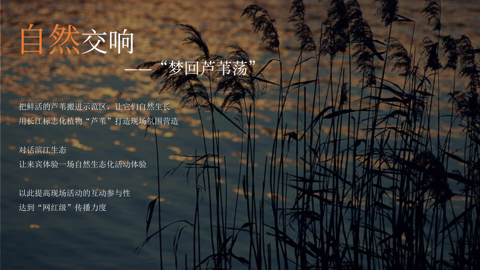 滨江项目示范区开放样板间开放长江音乐会活动.pptx_第5页