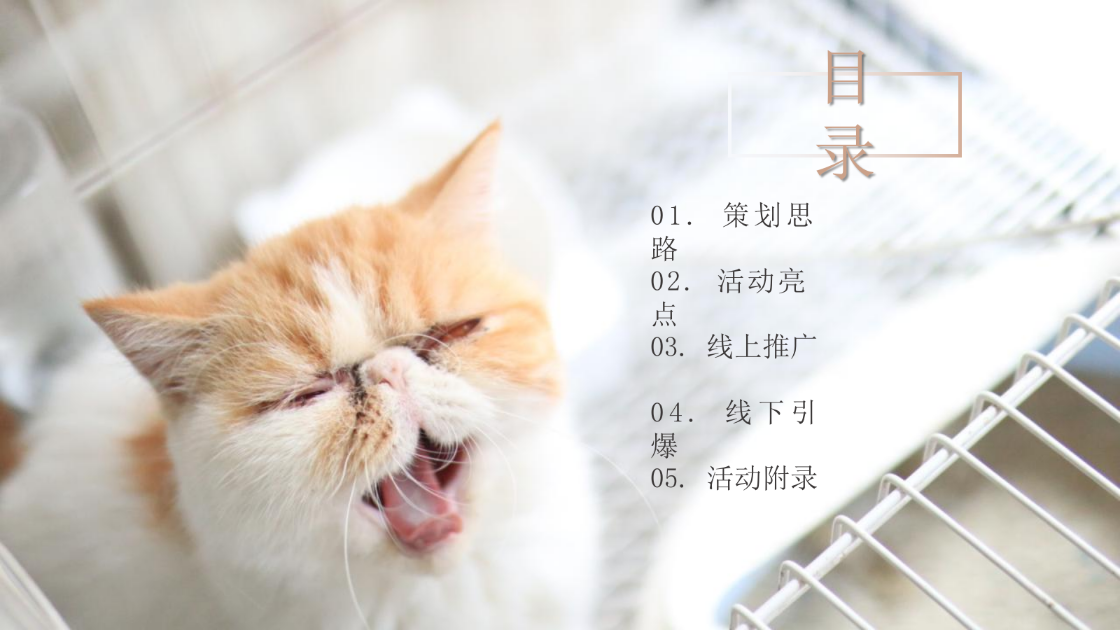 地产项目11-12月主题系列“猫懂空间”活动策划方案亲子 宠物.pptx_第2页