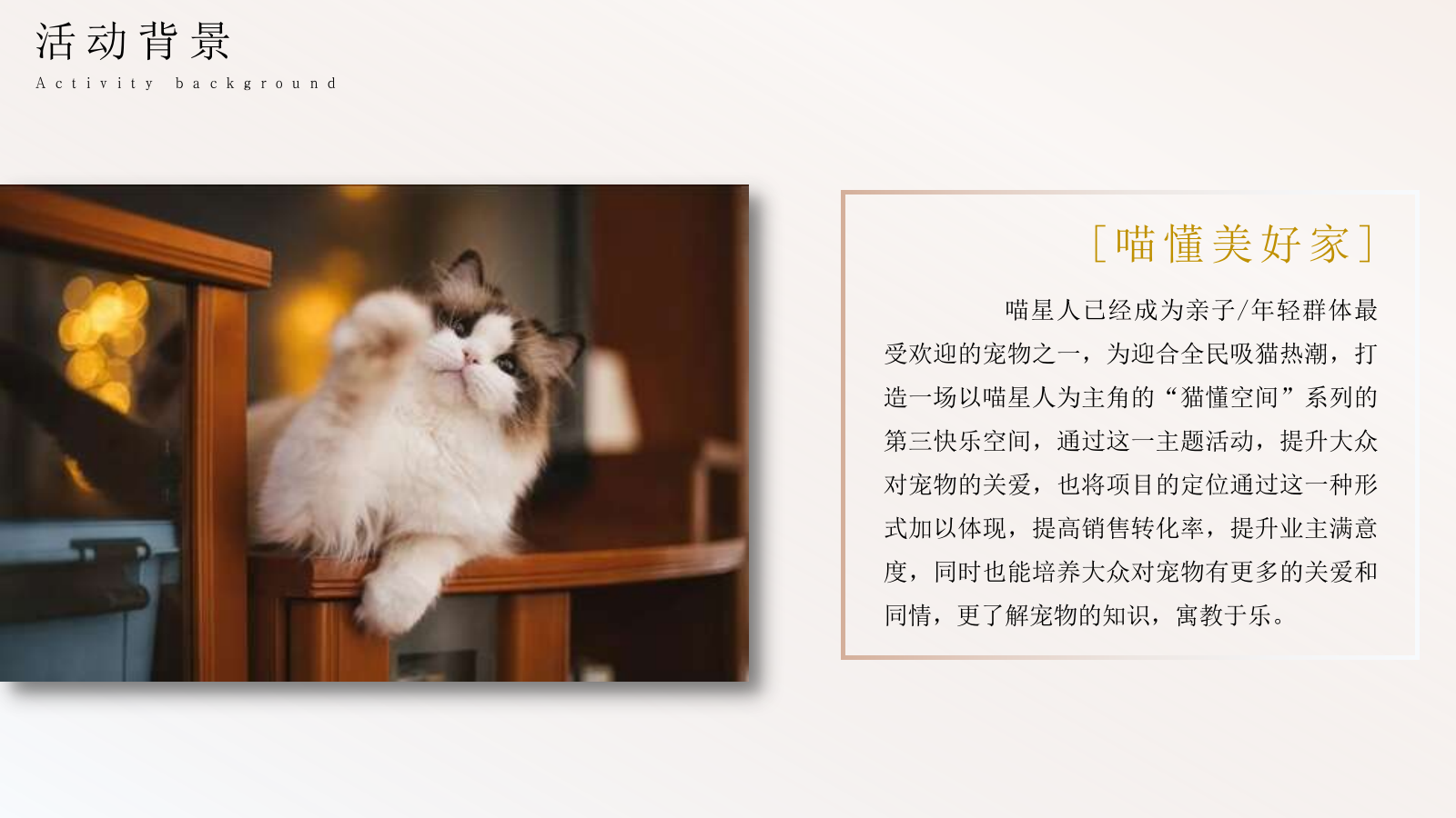 地产项目11-12月主题系列“猫懂空间”活动策划方案亲子 宠物.pptx_第5页