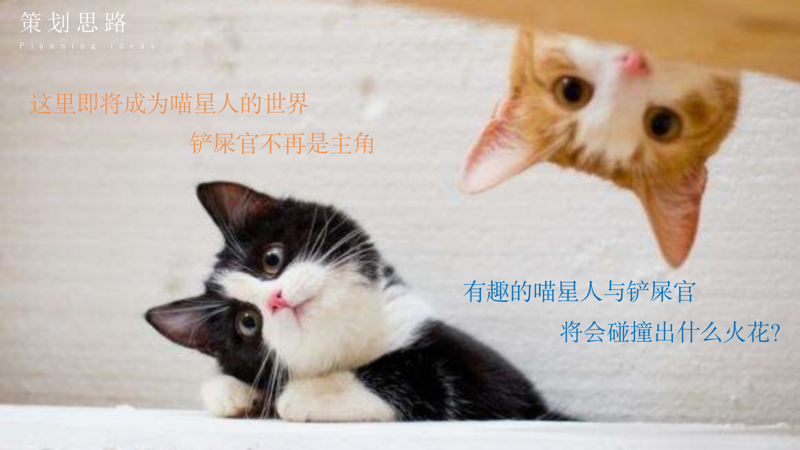 地产项目11-12月主题系列“猫懂空间”活动策划方案亲子 宠物.pptx_第7页