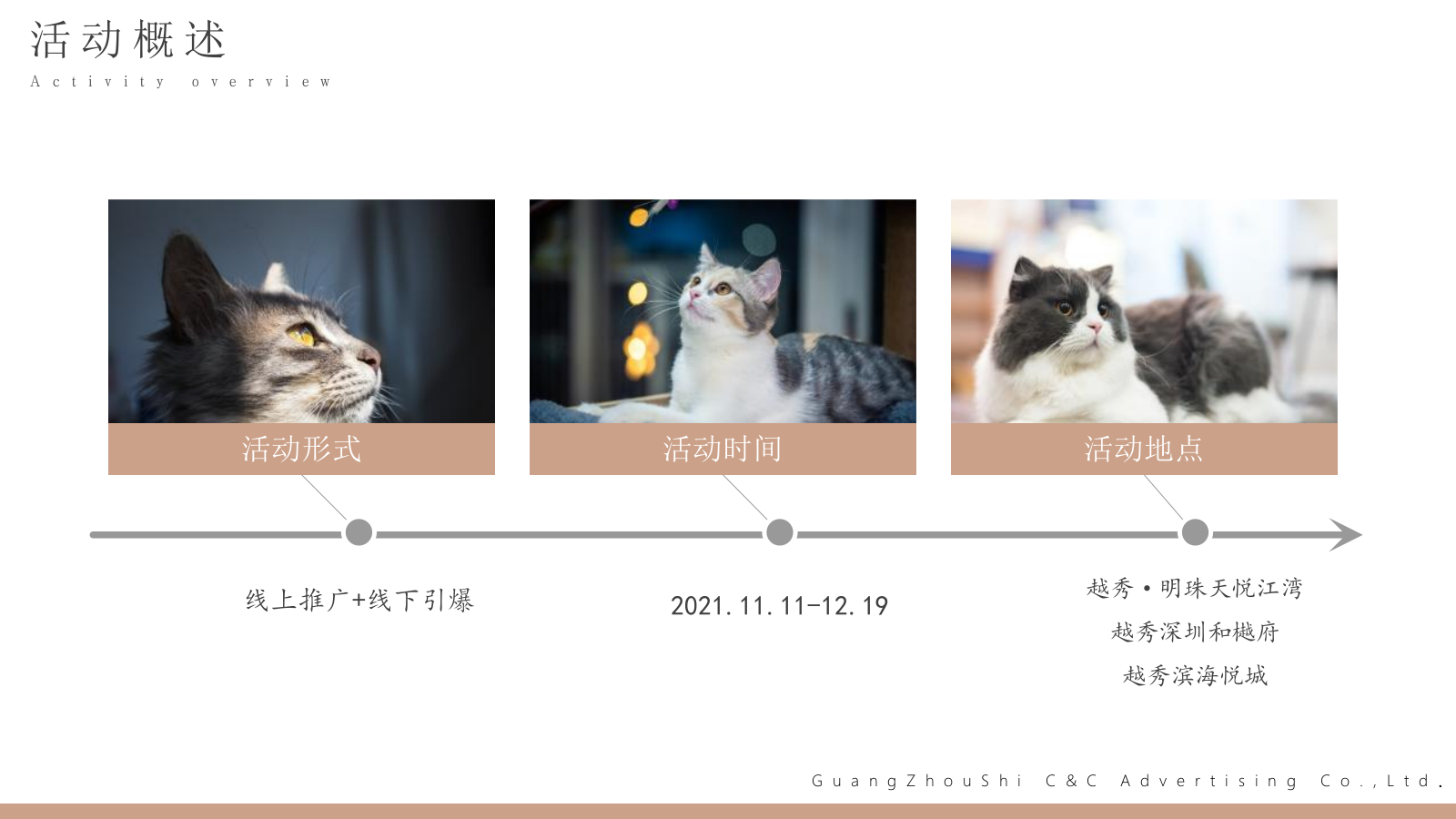 地产项目11-12月主题系列“猫懂空间”活动策划方案亲子 宠物.pptx_第8页