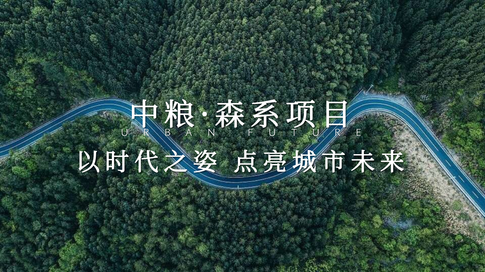 地产项目示范区开放策划方案.pptx_第3页